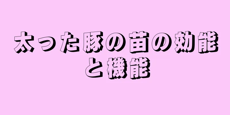太った豚の苗の効能と機能