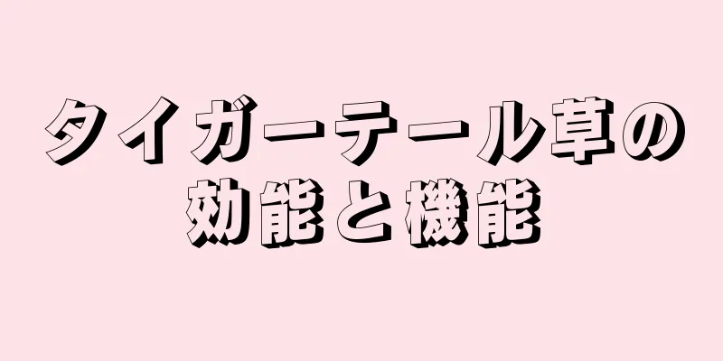 タイガーテール草の効能と機能