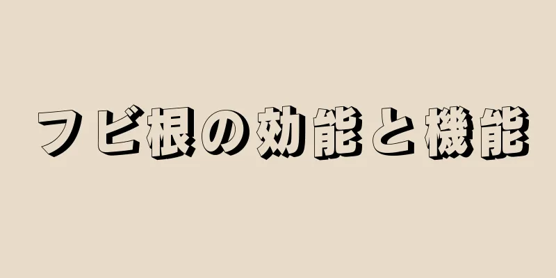フビ根の効能と機能