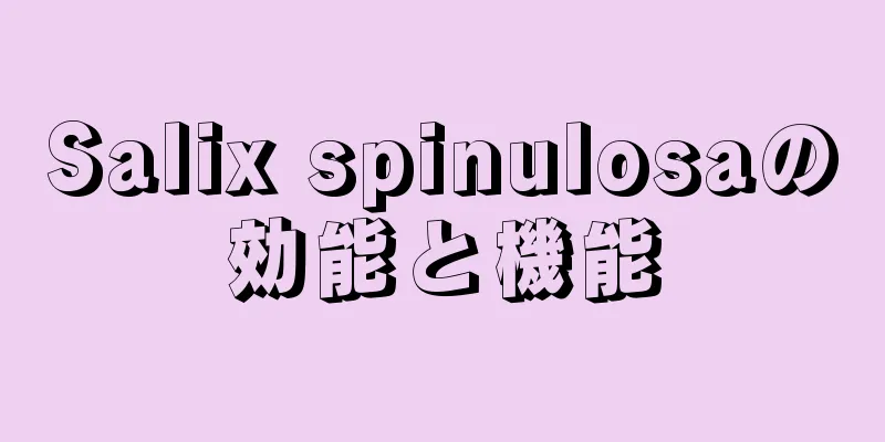 Salix spinulosaの効能と機能