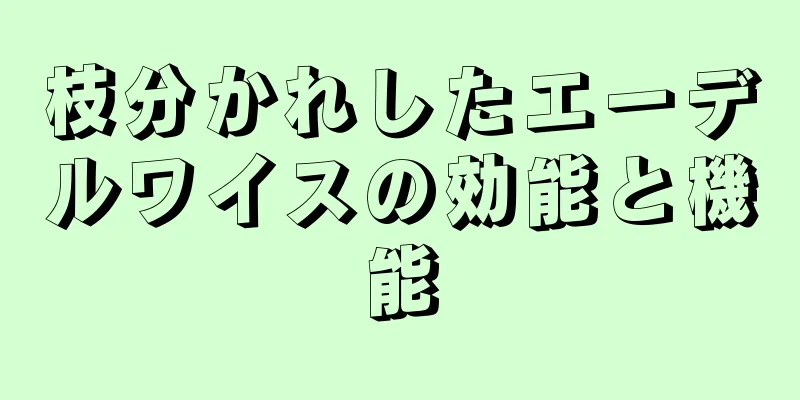 枝分かれしたエーデルワイスの効能と機能