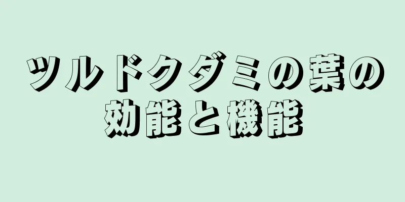 ツルドクダミの葉の効能と機能