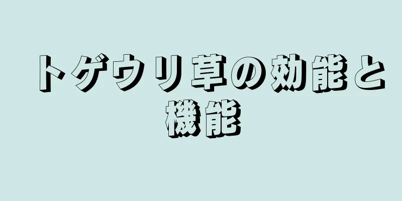 トゲウリ草の効能と機能