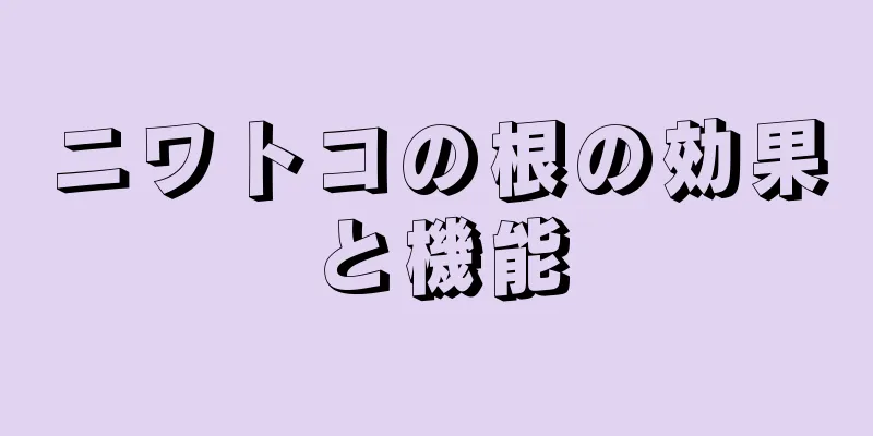ニワトコの根の効果と機能