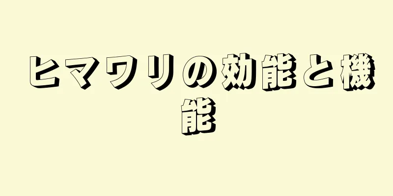 ヒマワリの効能と機能
