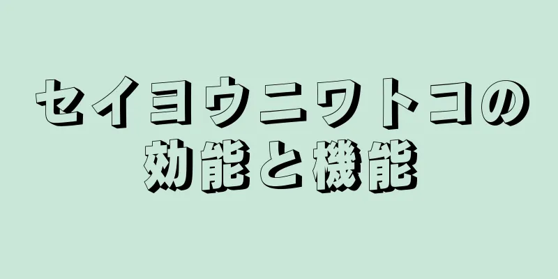 セイヨウニワトコの効能と機能