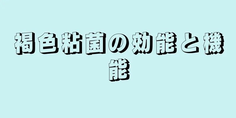 褐色粘菌の効能と機能