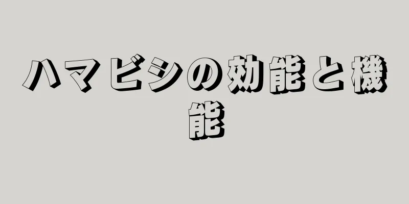 ハマビシの効能と機能