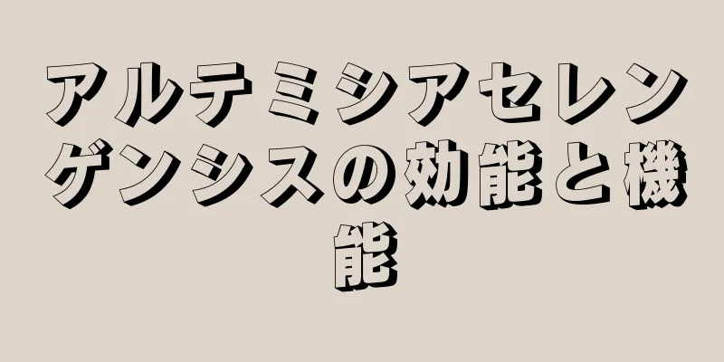 アルテミシアセレンゲンシスの効能と機能