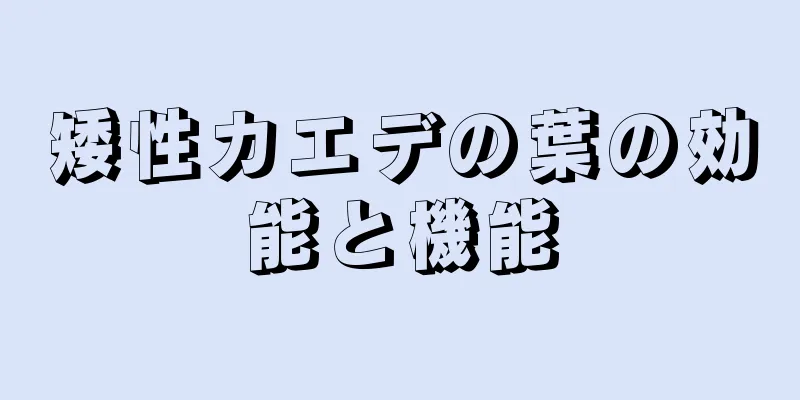 矮性カエデの葉の効能と機能