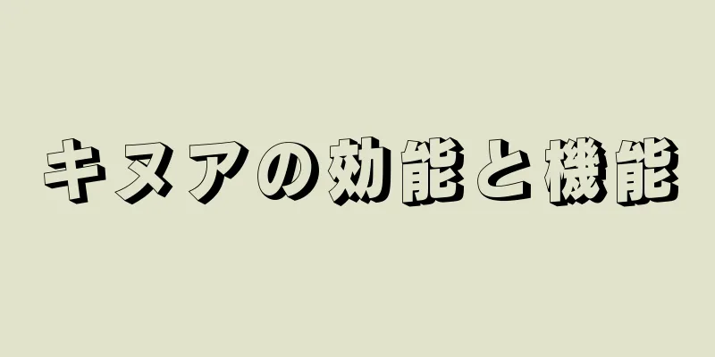 キヌアの効能と機能