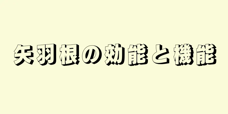 矢羽根の効能と機能