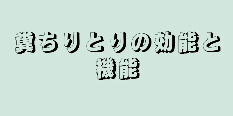 糞ちりとりの効能と機能