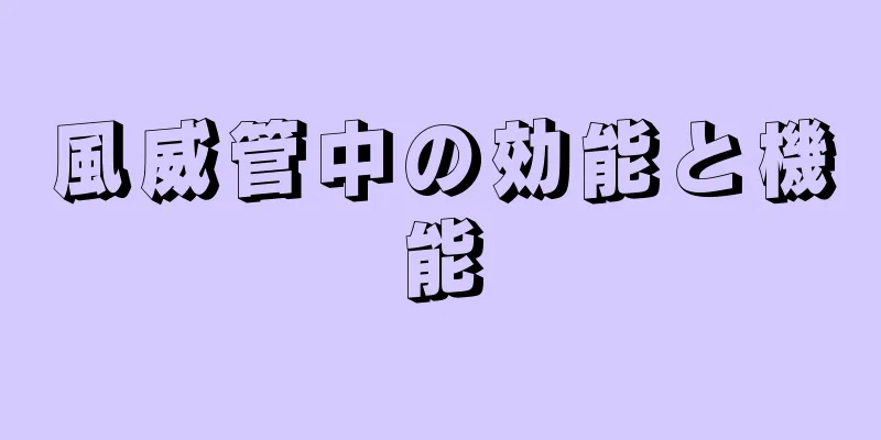 風威管中の効能と機能