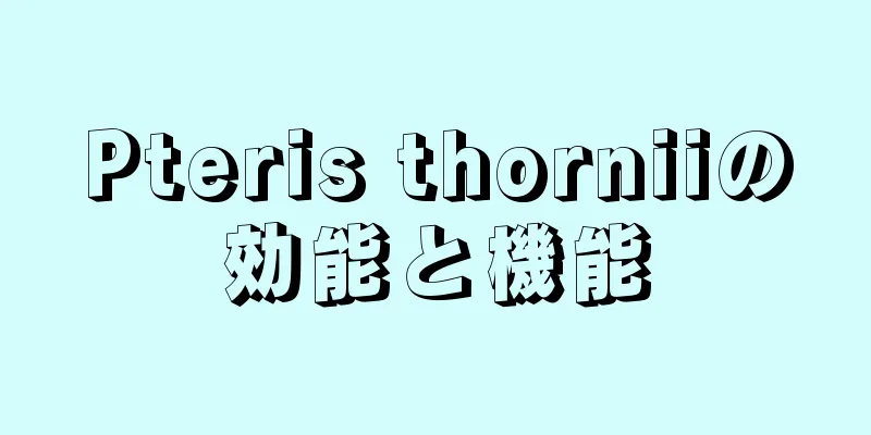 Pteris thorniiの効能と機能