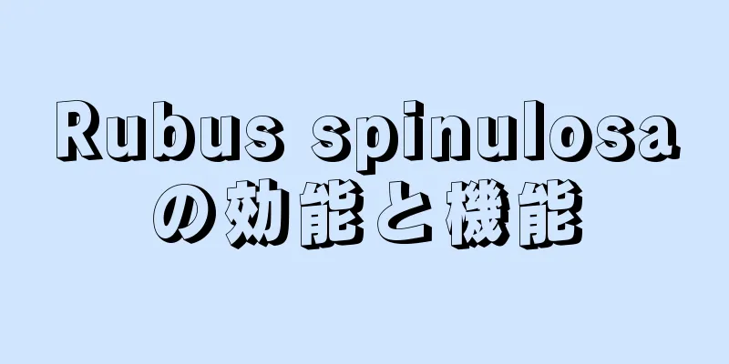 Rubus spinulosaの効能と機能