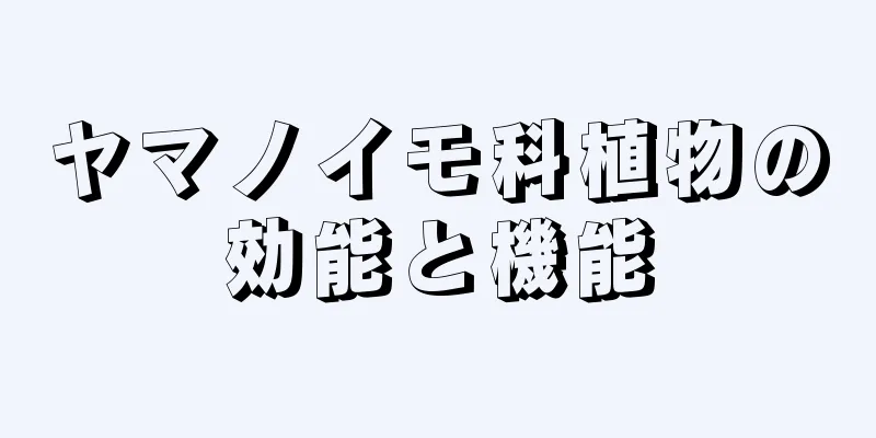 ヤマノイモ科植物の効能と機能