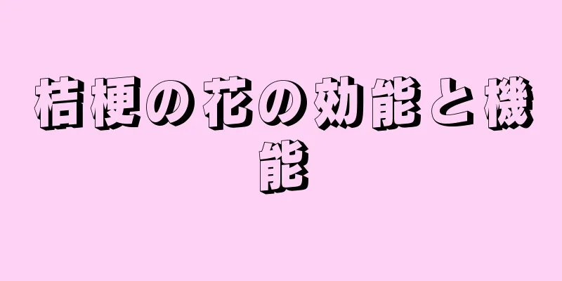 桔梗の花の効能と機能