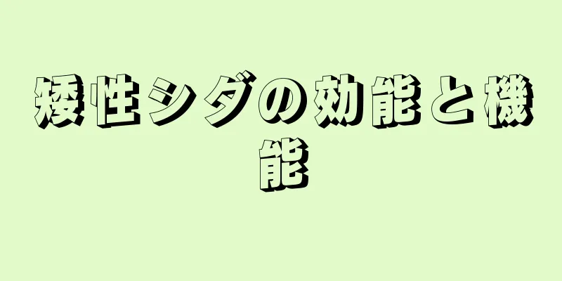 矮性シダの効能と機能