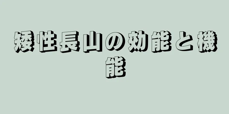 矮性長山の効能と機能