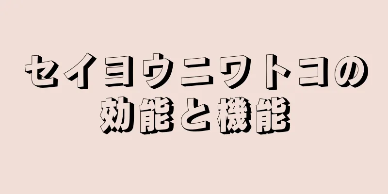 セイヨウニワトコの効能と機能