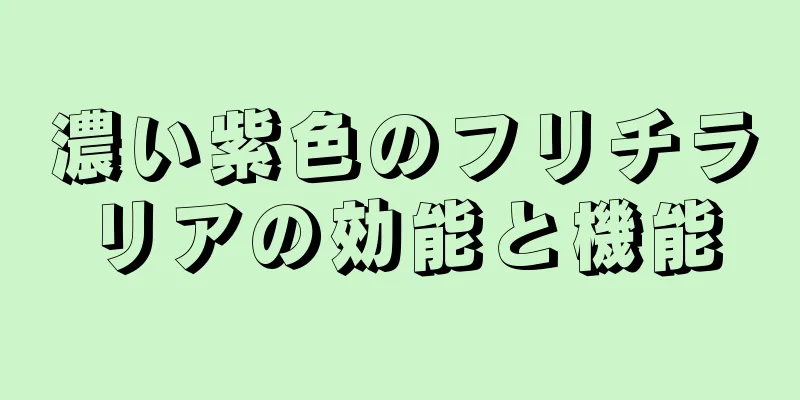 濃い紫色のフリチラリアの効能と機能