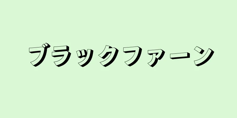 ブラックファーン