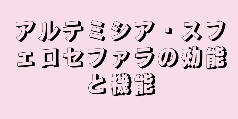 アルテミシア・スフェロセファラの効能と機能