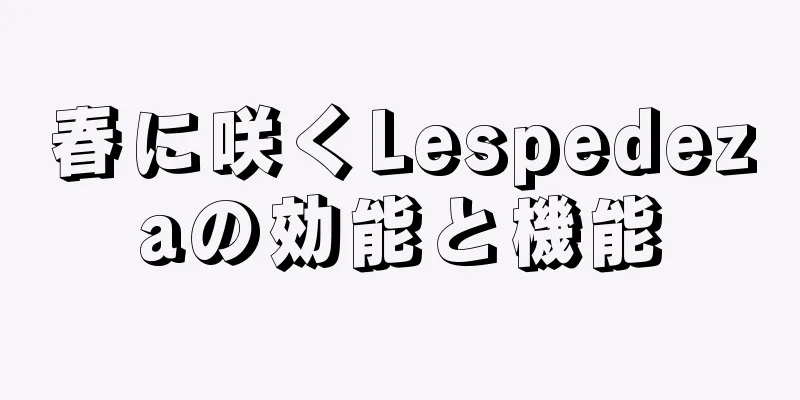 春に咲くLespedezaの効能と機能