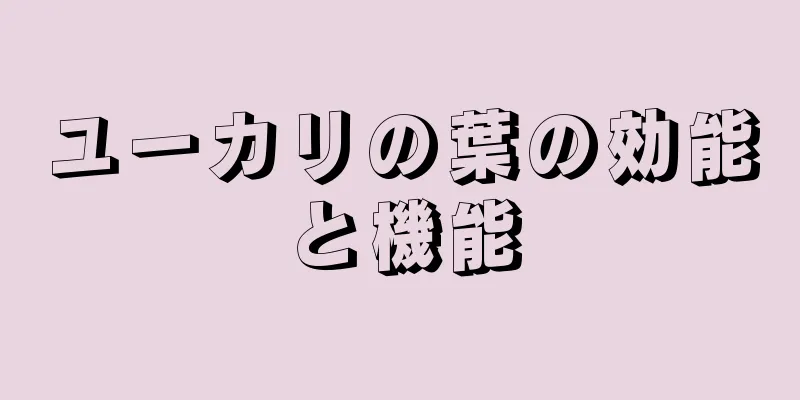 ユーカリの葉の効能と機能