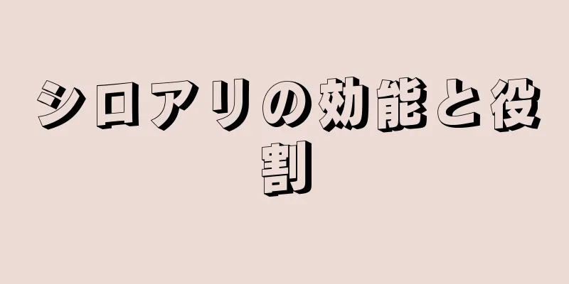 シロアリの効能と役割