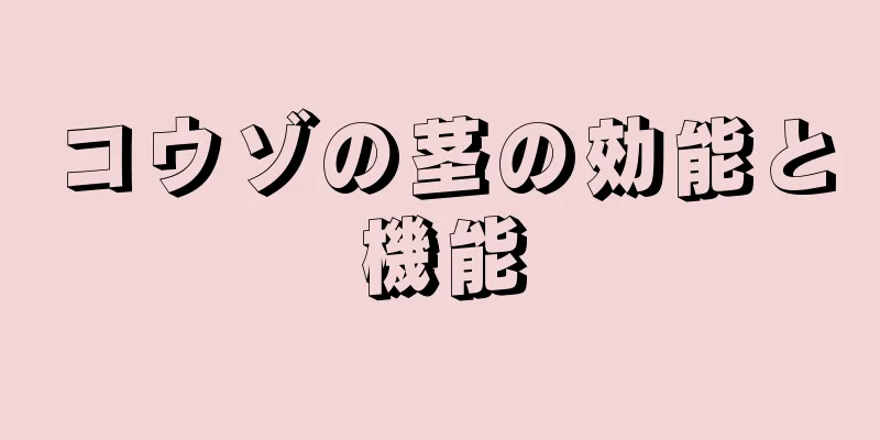 コウゾの茎の効能と機能