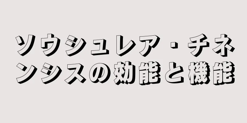 ソウシュレア・チネンシスの効能と機能