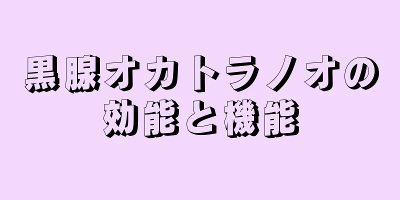 黒腺オカトラノオの効能と機能