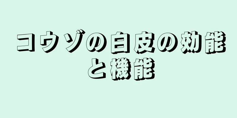 コウゾの白皮の効能と機能