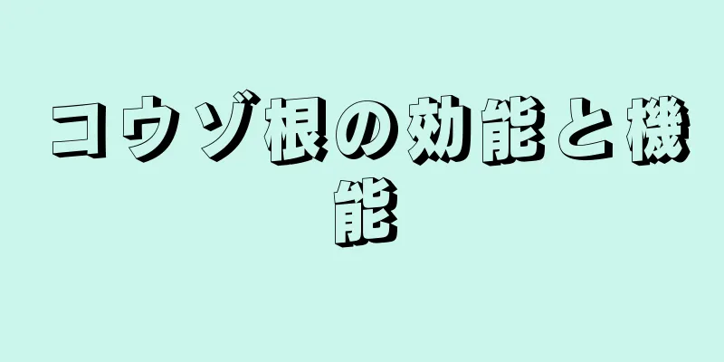 コウゾ根の効能と機能