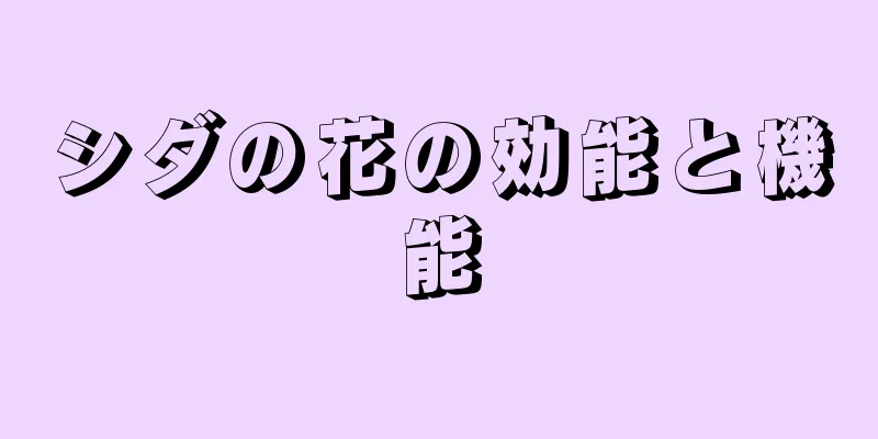 シダの花の効能と機能