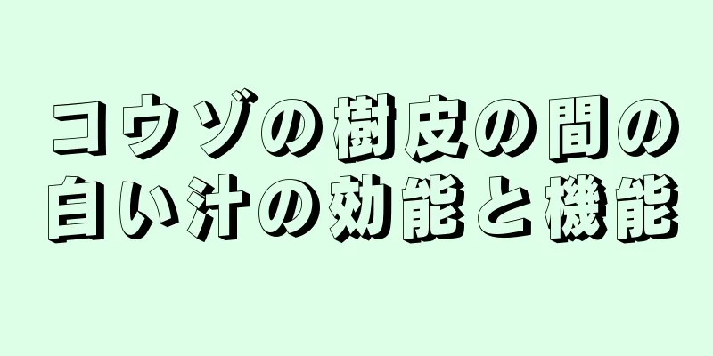 コウゾの樹皮の間の白い汁の効能と機能