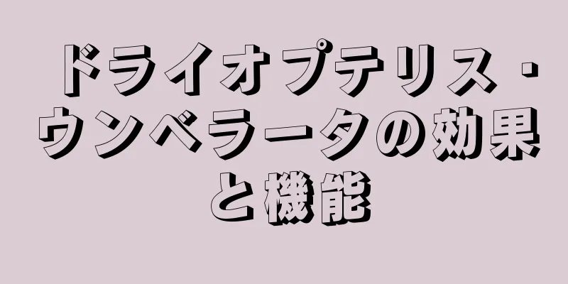 ドライオプテリス・ウンベラータの効果と機能