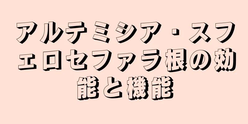 アルテミシア・スフェロセファラ根の効能と機能