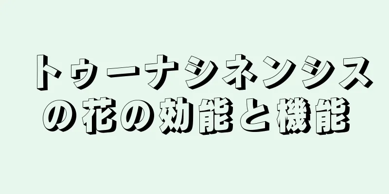 トゥーナシネンシスの花の効能と機能