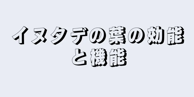 イヌタデの葉の効能と機能
