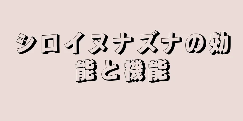 シロイヌナズナの効能と機能