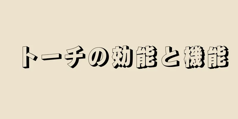 トーチの効能と機能