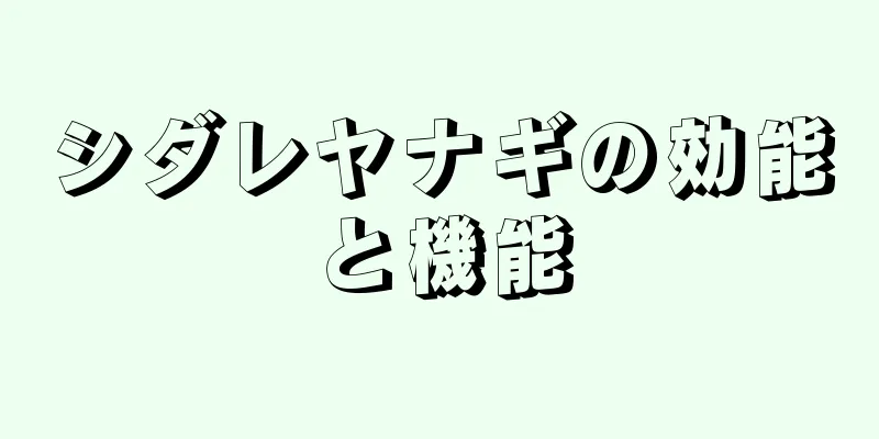 シダレヤナギの効能と機能