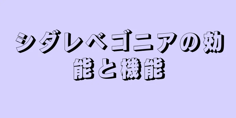 シダレベゴニアの効能と機能