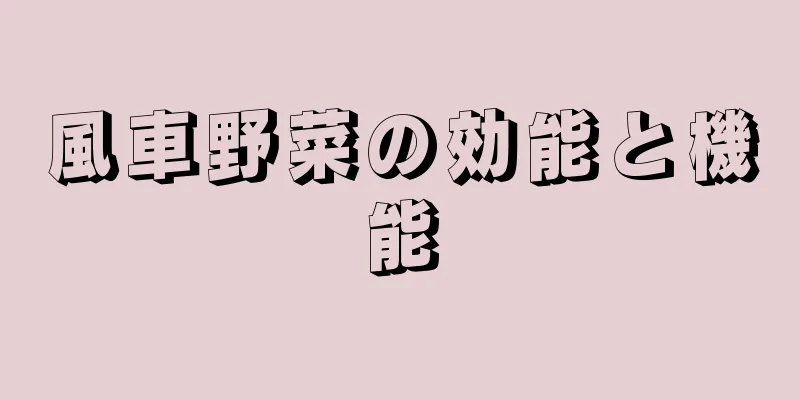 風車野菜の効能と機能