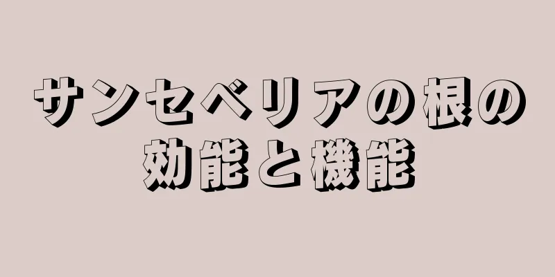 サンセベリアの根の効能と機能