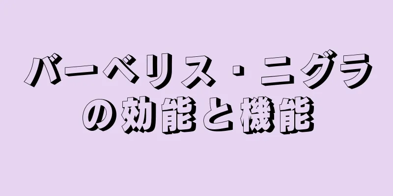 バーベリス・ニグラの効能と機能