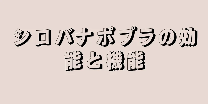 シロバナポプラの効能と機能